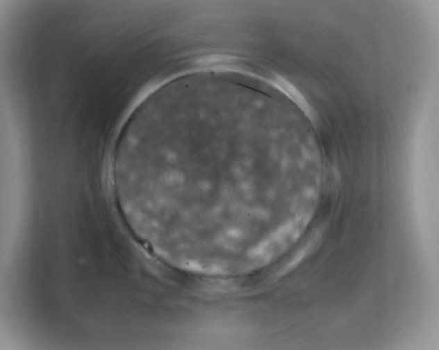 X0000108481101200905011156
