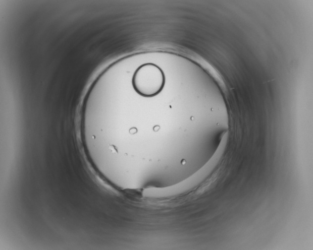 X0000108481102200905011156
