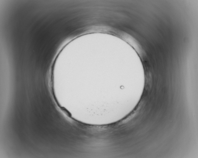 X0000108481103200905011156