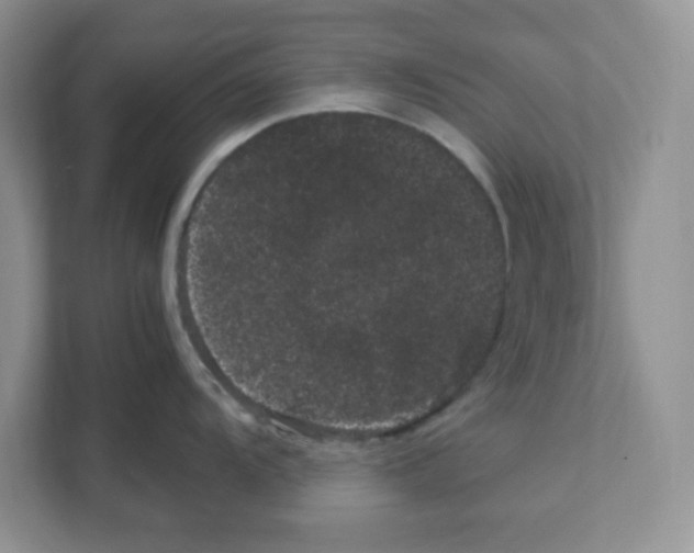 X0000108481104200905011156