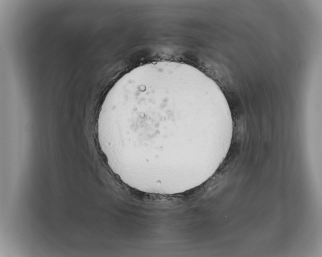 X0000108481105200905011156