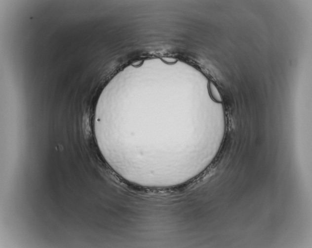 X0000108481106200905011156