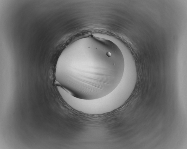 X0000108481110200905011156