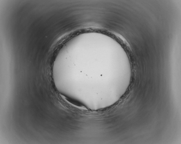 X0000108481112200905011156