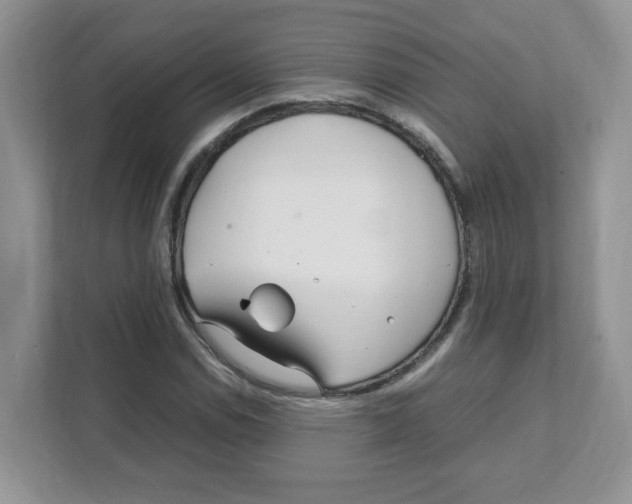 X0000108481114200905011156