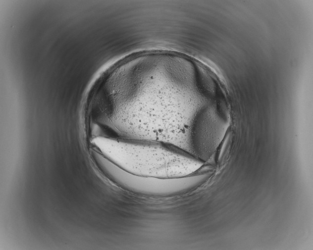 X0000108481120200905011156