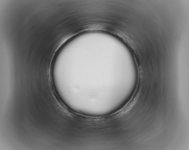 X0000108481121200905011156