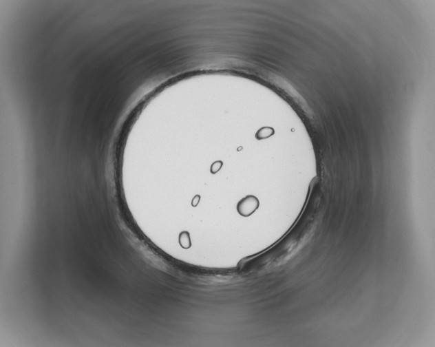 X0000108481122200905011156