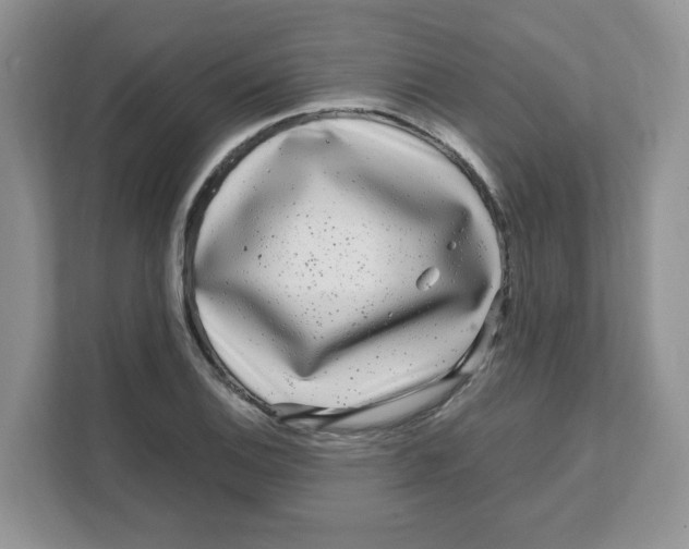 X0000108481124200905011156