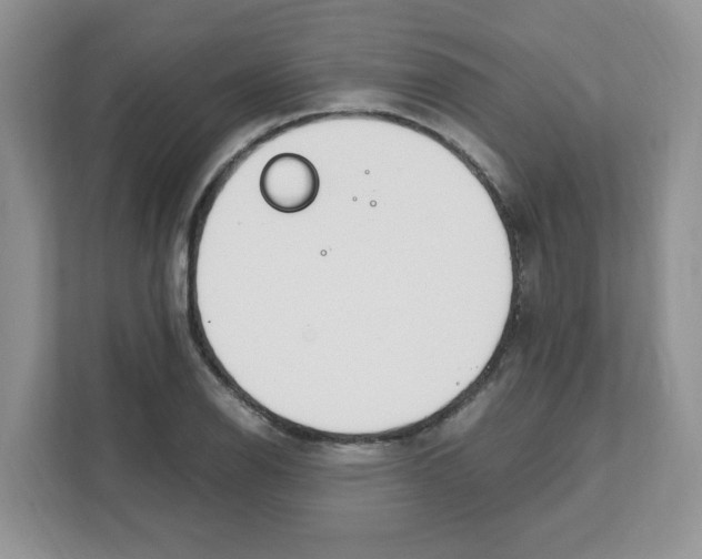 X0000108481126200905011156