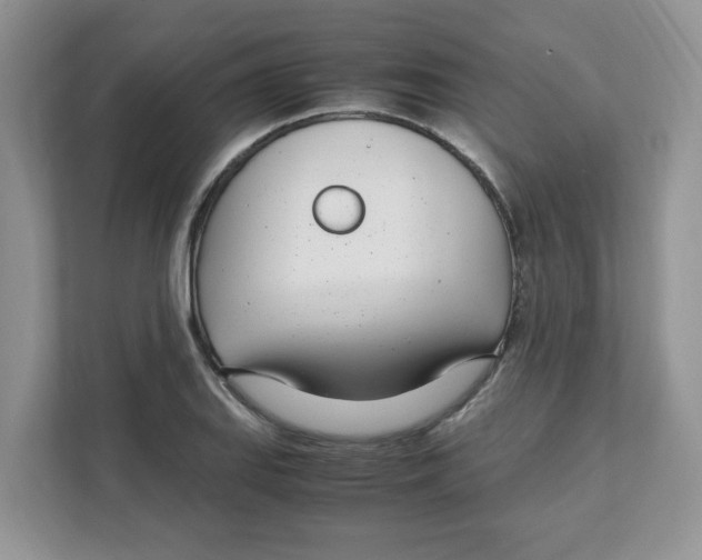 X0000108481127200905011156