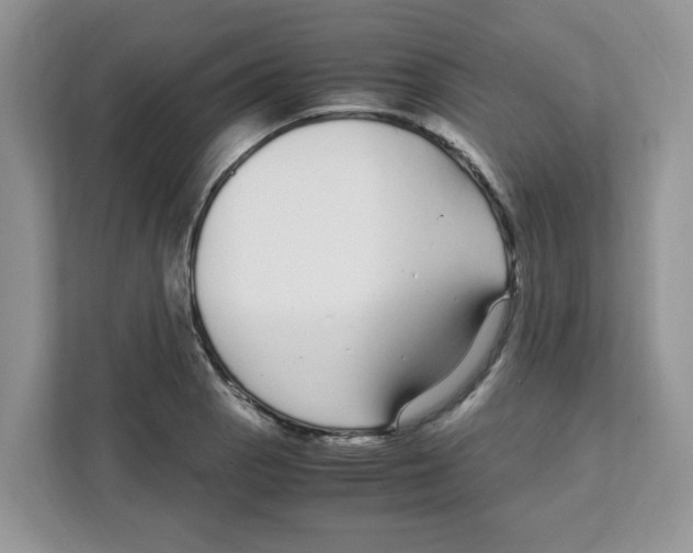 X0000108481129200905011156