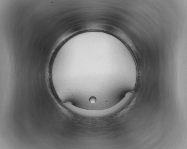 X0000108481133200905011156