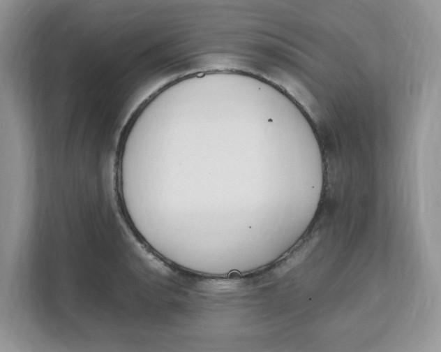 X0000108481134200905011156