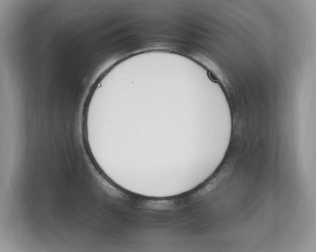 X0000108481135200905011156