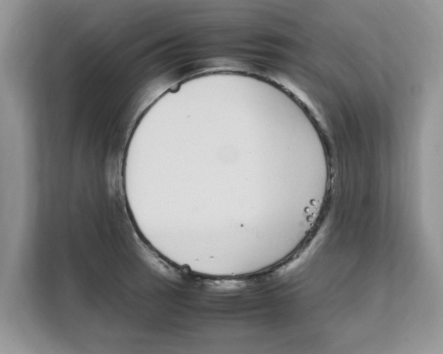 X0000108481137200905011156