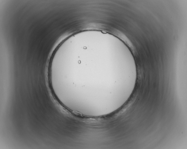X0000108481138200905011156