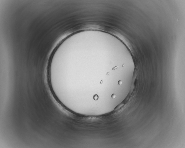 X0000108481139200905011156