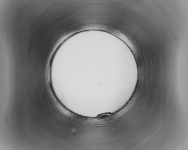 X0000108481140200905011156