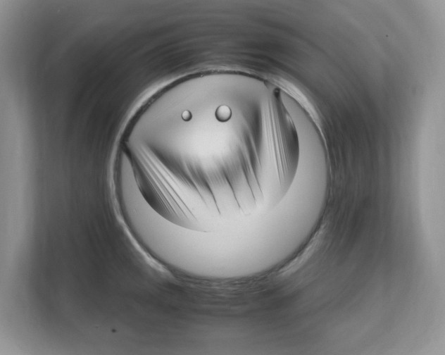 X0000108481141200905011156