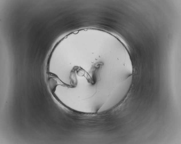 X0000108481143200905011156