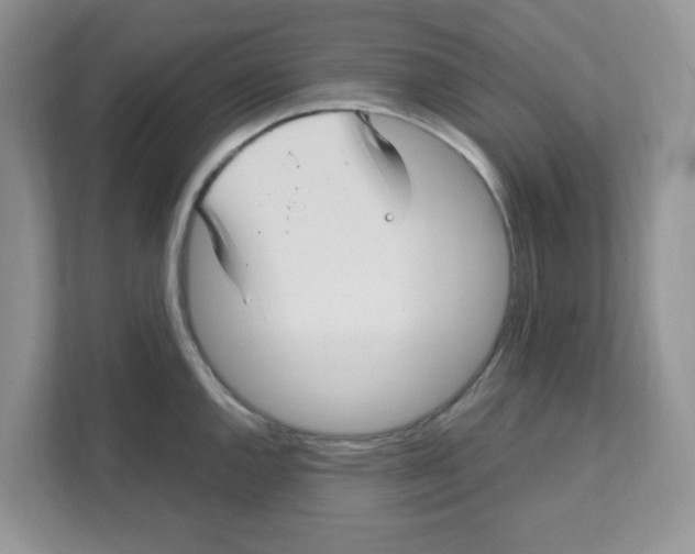 X0000108481144200905011156
