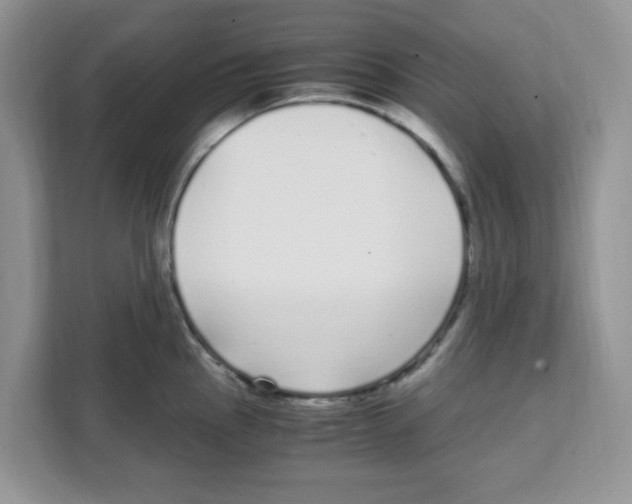 X0000108481145200905011156