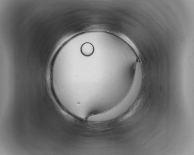 X0000108481149200905011156