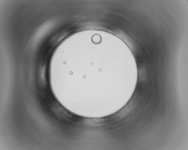 X0000108481150200905011156
