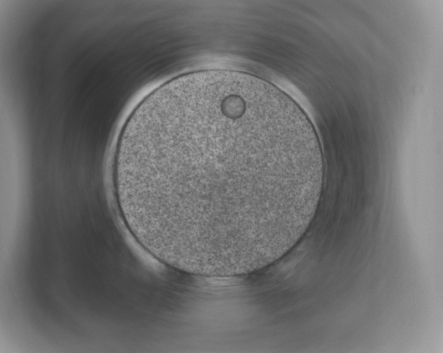 X0000108481152200905011156