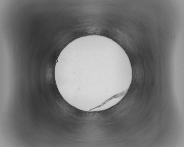 X0000108481154200905011156