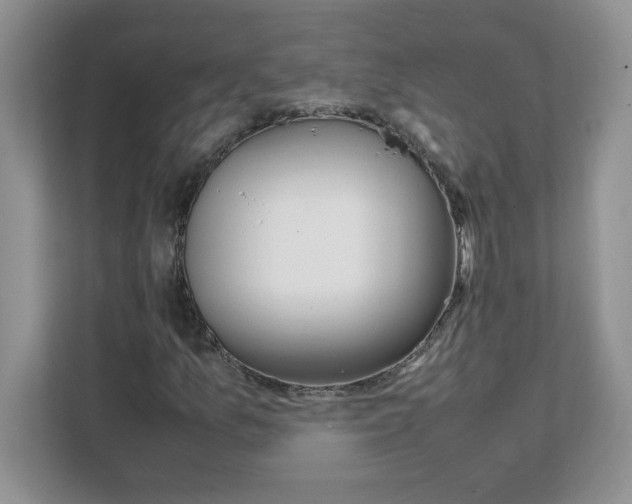 X0000108481157200905011156
