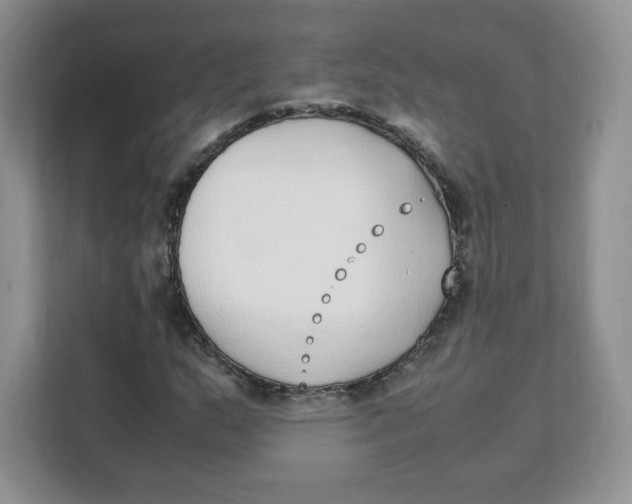 X0000108481159200905011156