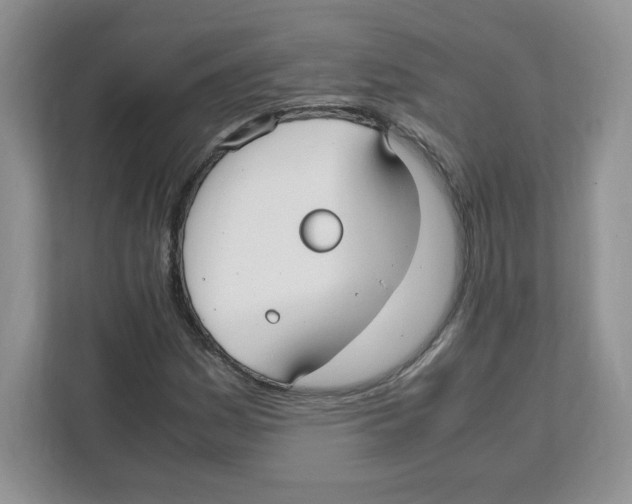 X0000108481161200905011156