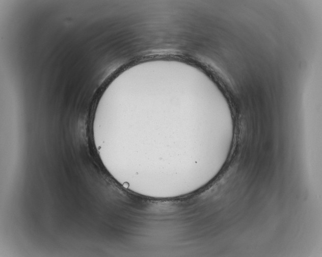 X0000108481162200905011156