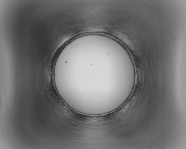 X0000108481165200905011156