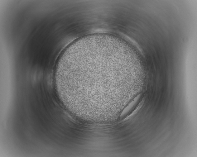 X0000108481170200905011156