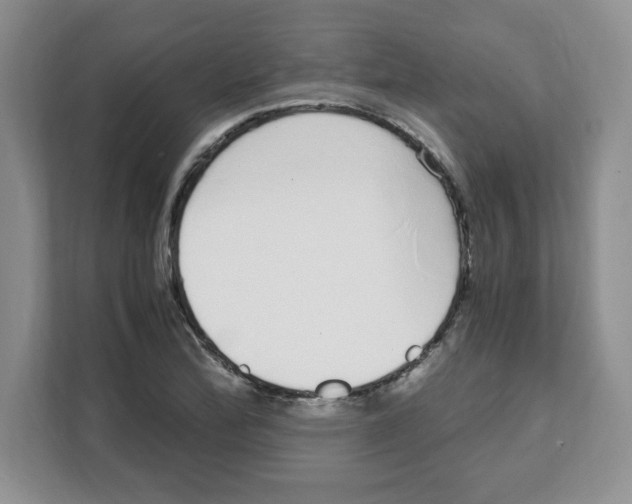 X0000108481172200905011156
