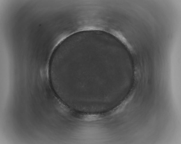 X0000108481173200905011156