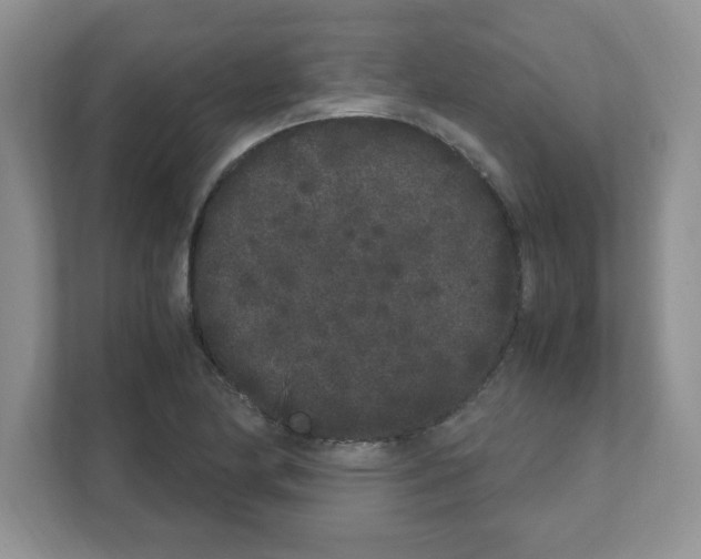 X0000108481174200905011156