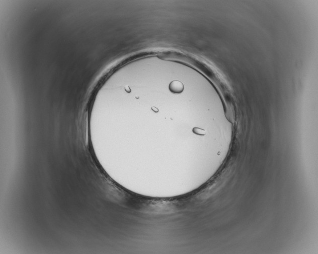 X0000108481175200905011155