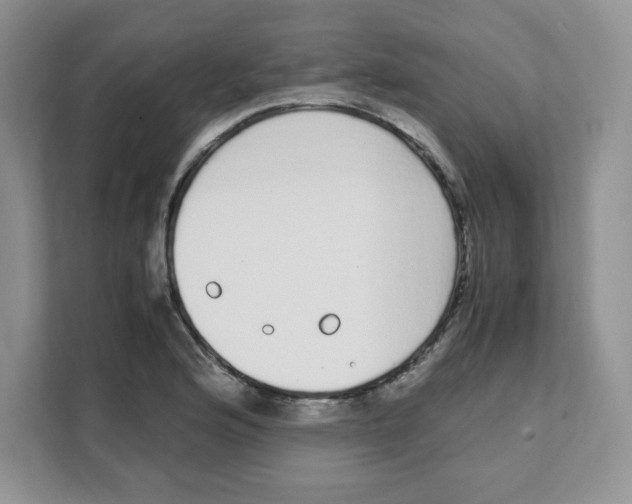X0000108481176200905011155