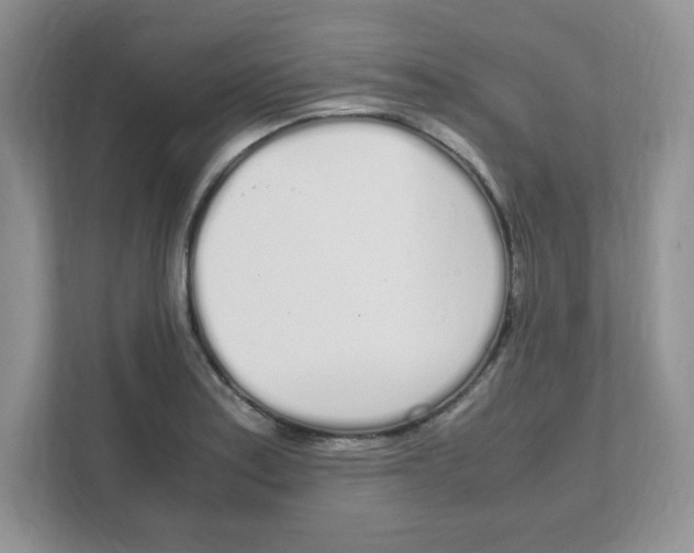 X0000108481179200905011155