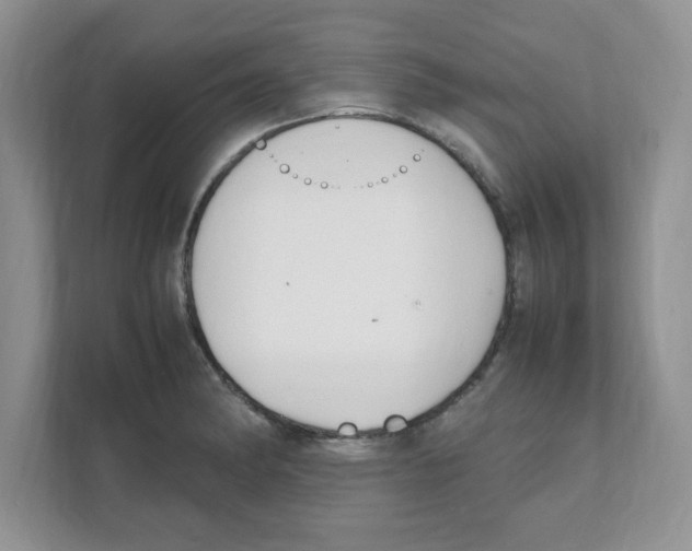 X0000108481182200905011155