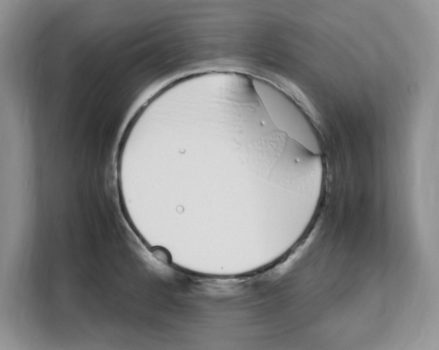 X0000108481184200905011155