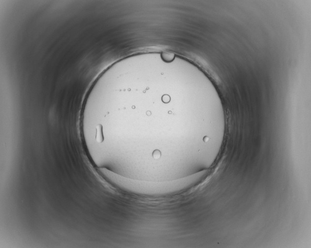 X0000108481186200905011155