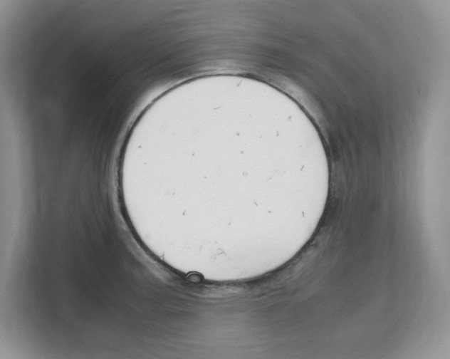 X0000108481187200905011155
