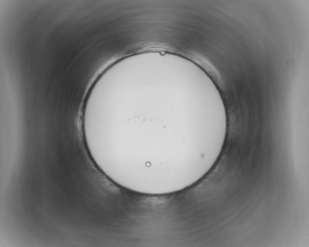 X0000108481190200905011155
