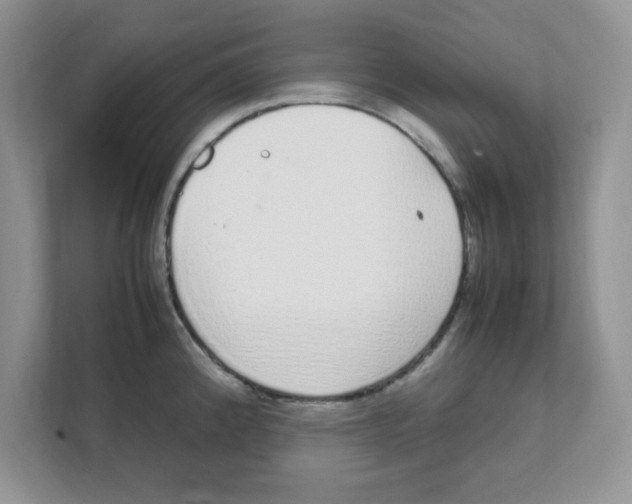 X0000108481192200905011155