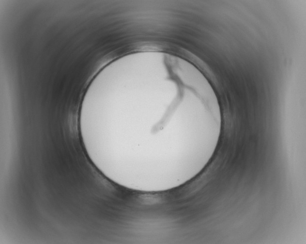 X0000108481194200905011155